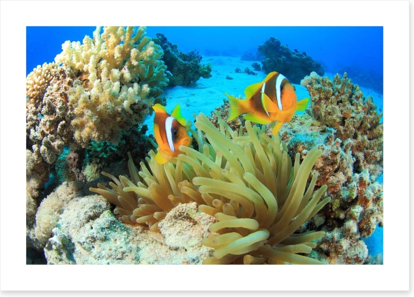 Underwater