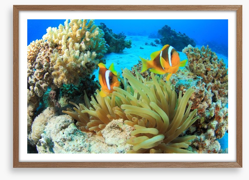 Underwater