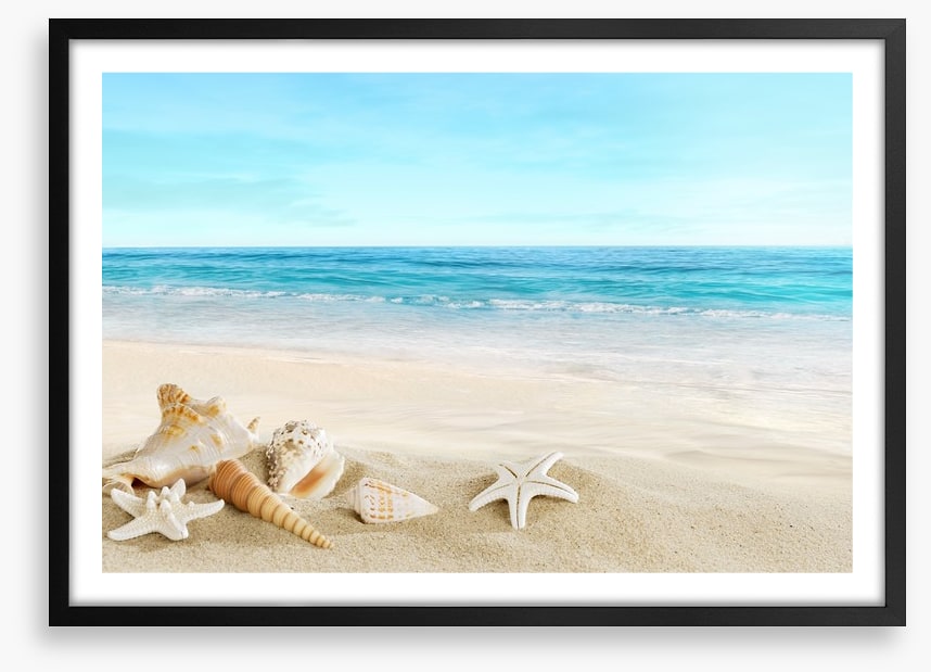 Seashell seascape