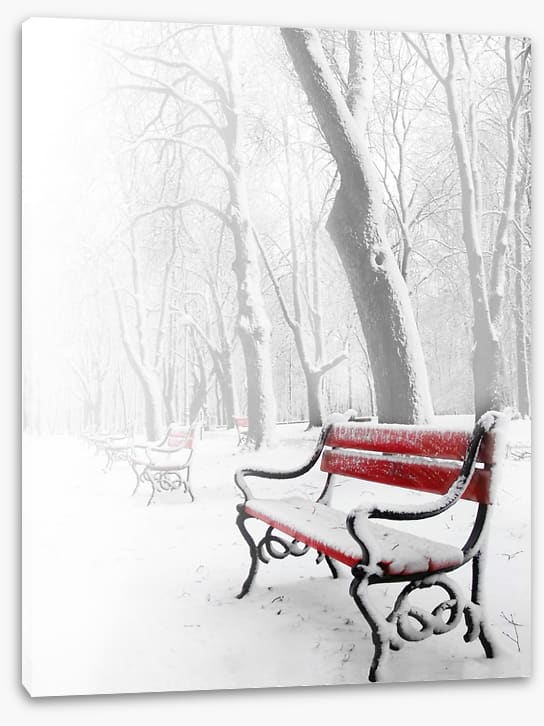 Snowy red bench