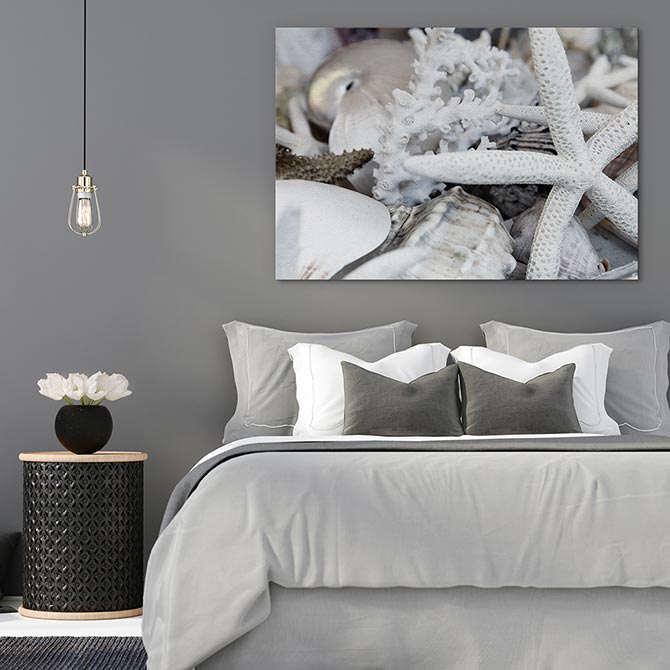 Starfish and coral