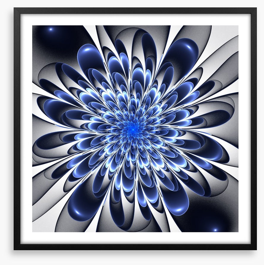 Starlight bloom