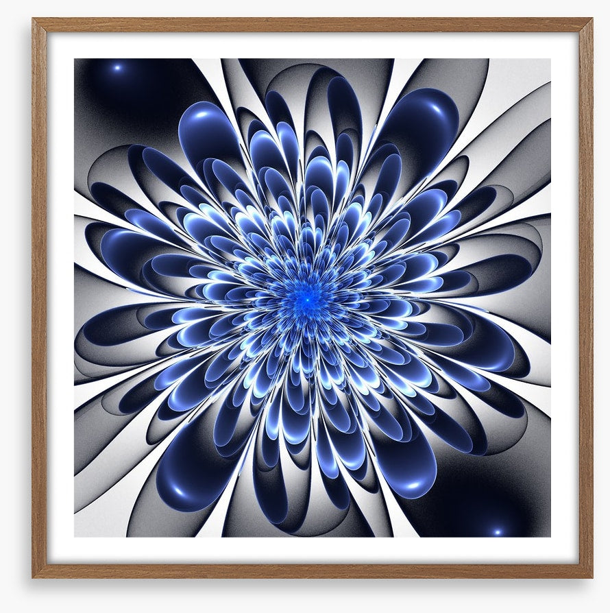 Starlight bloom