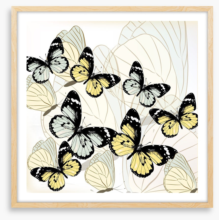 Butterflies