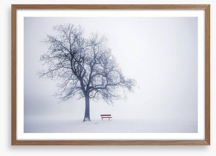 Red bench in Winter