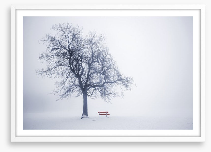 Red bench in Winter