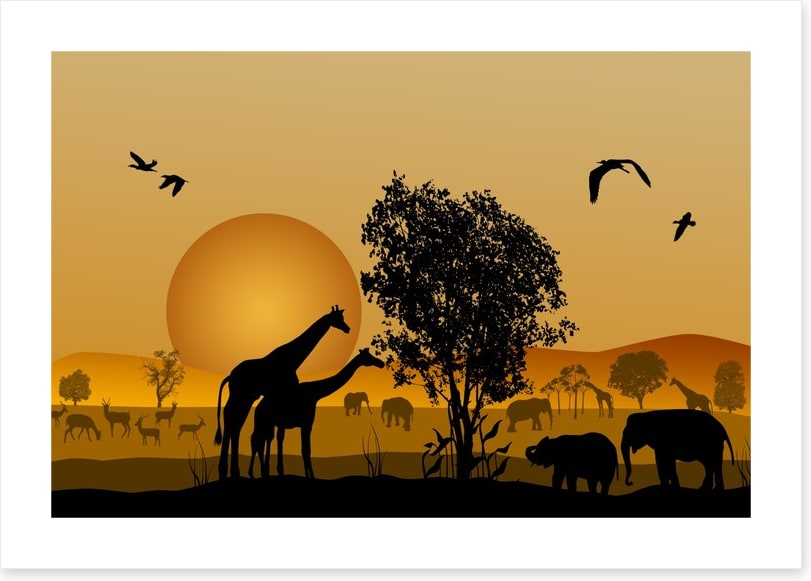 Golden safari sunset