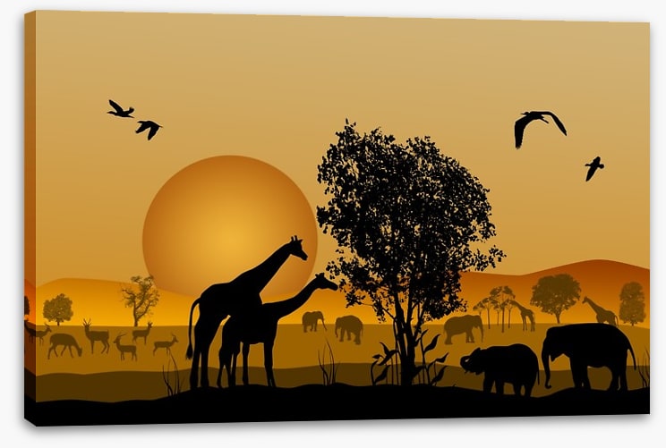 Golden safari sunset