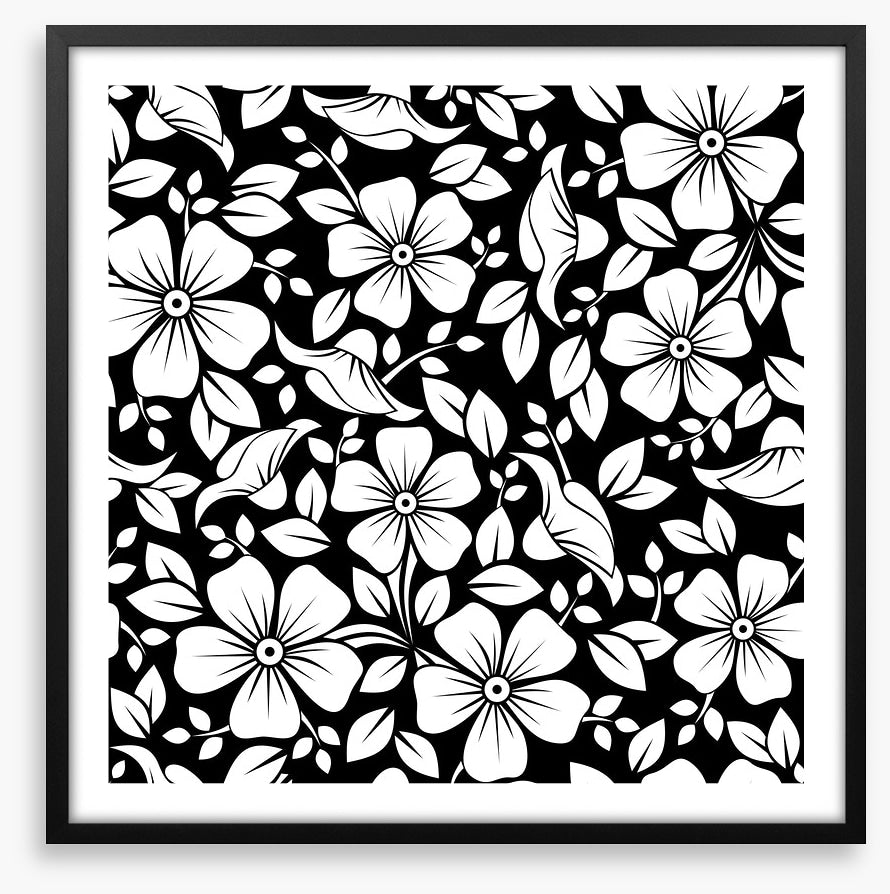Black and White