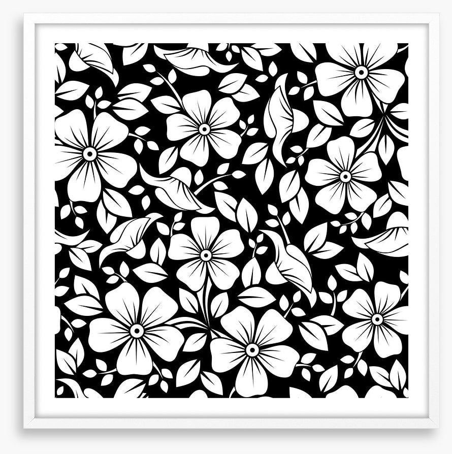 Black and White