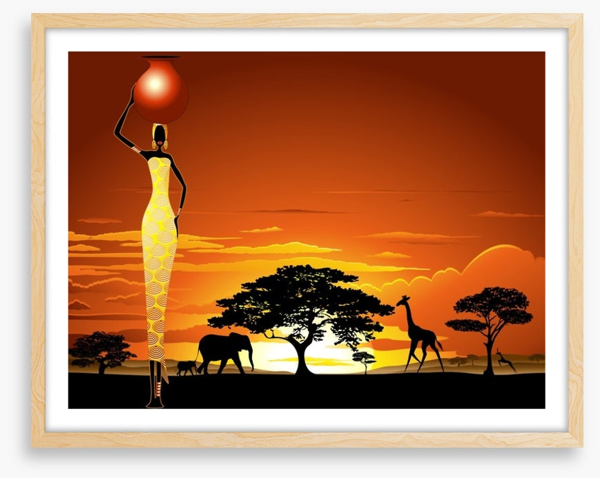 Savanna sunset