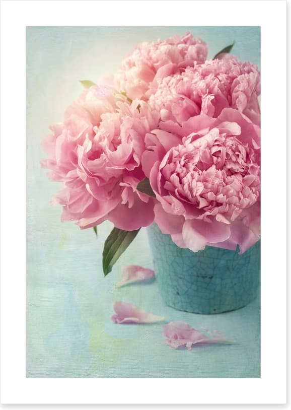 Vintage pink peony