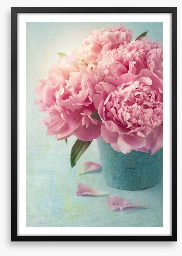 Vintage pink peony