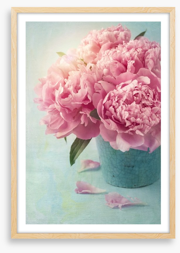 Vintage pink peony
