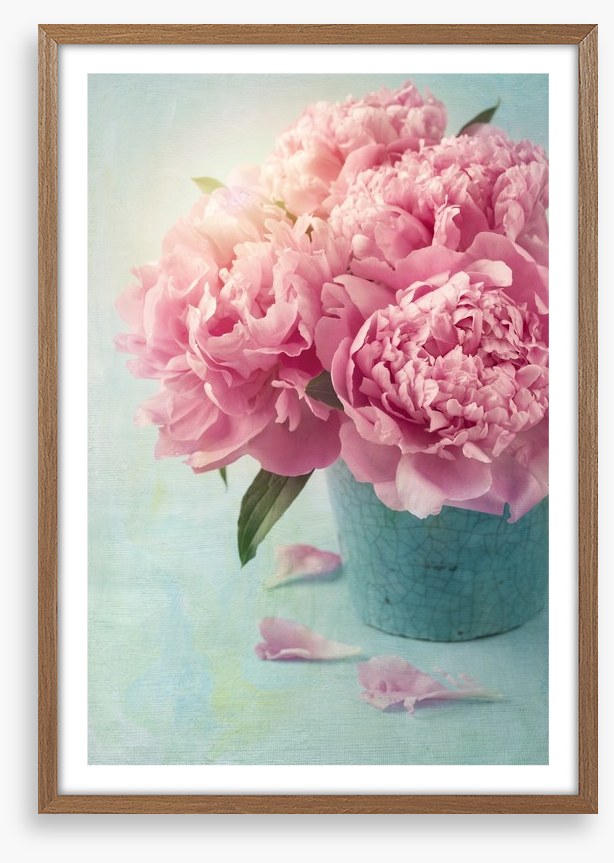 Vintage pink peony