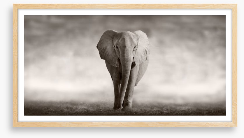 Mighty African elephant