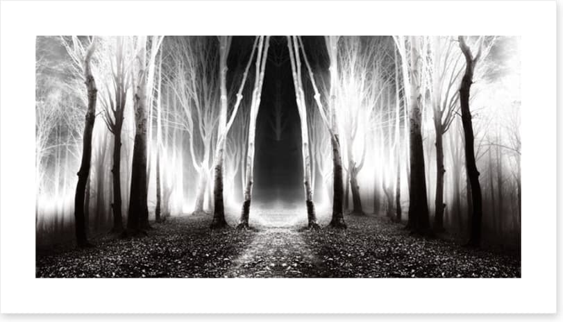 Forests