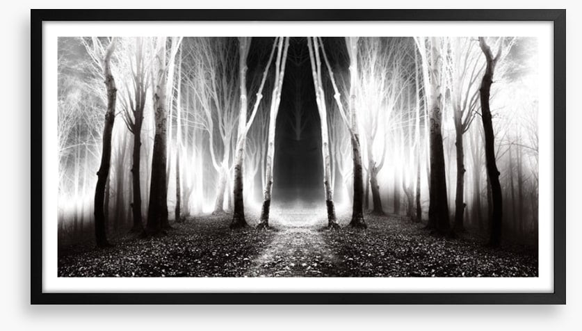 Forests