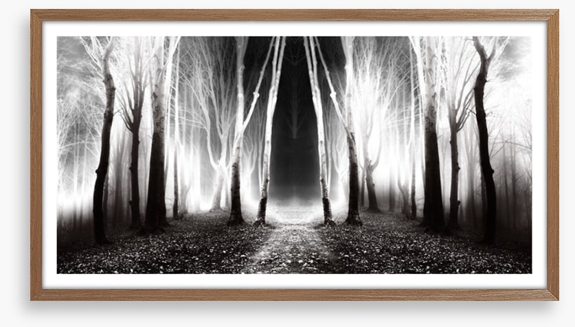 Forests