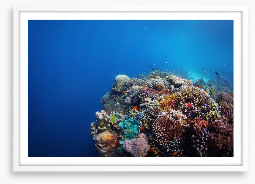 Underwater