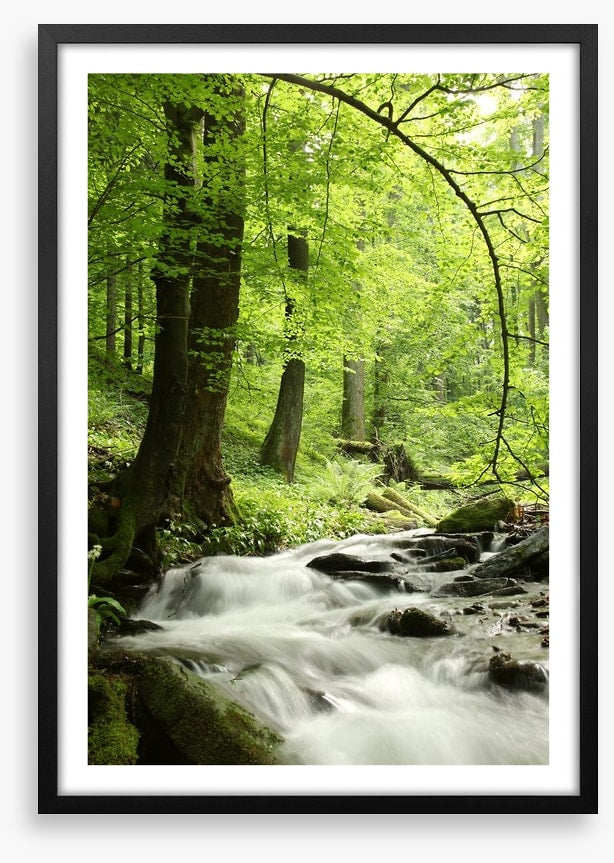 Spring cascades