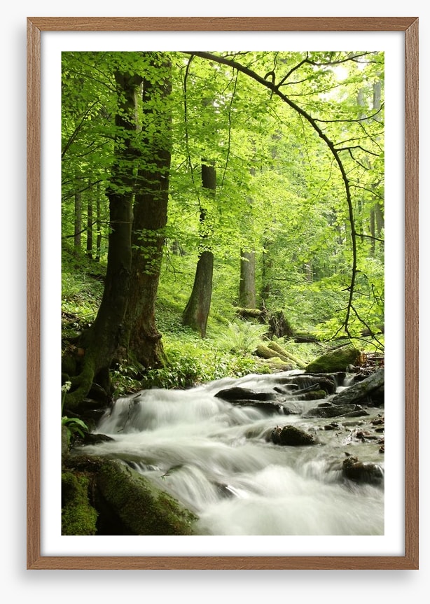 Spring cascades