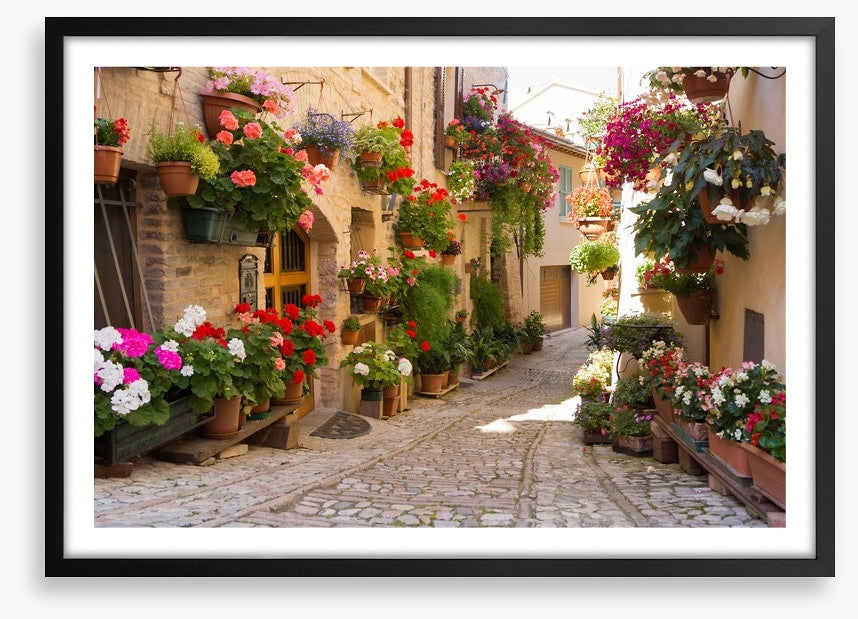 Italian alley with flowers