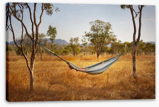 Hammock in the bush