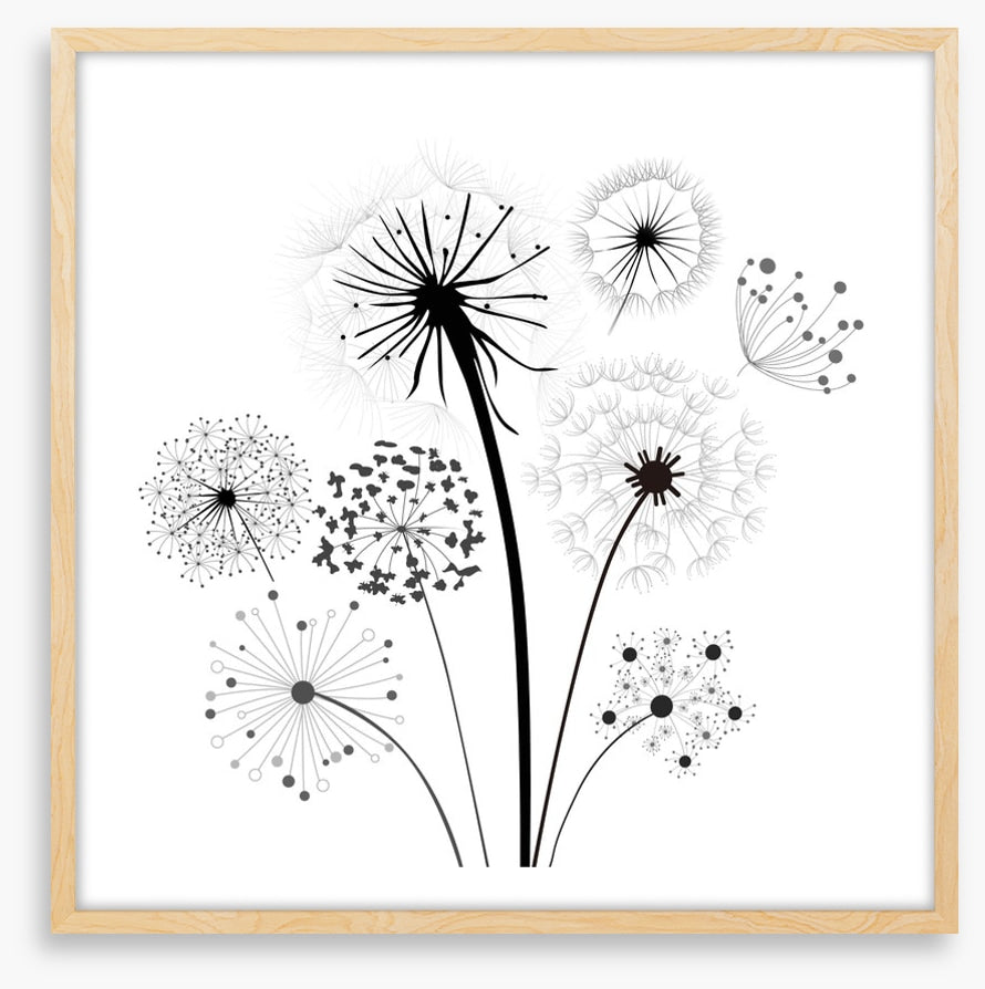 Dandelion whisper