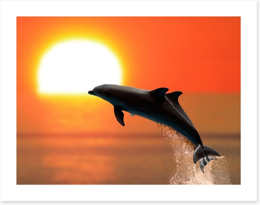 Synchronised at sunset