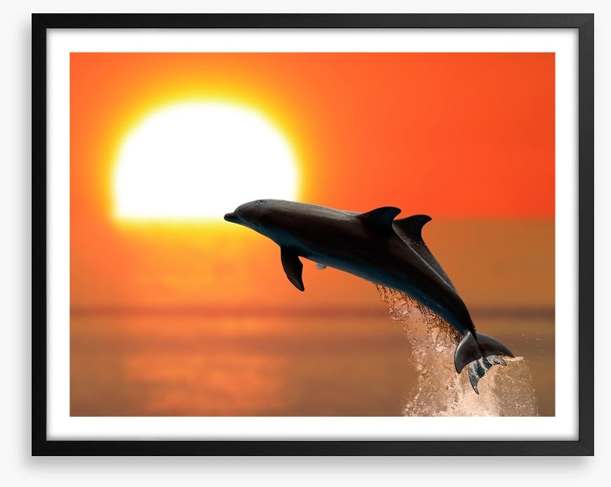 Synchronised at sunset