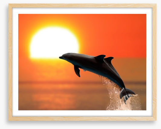 Synchronised at sunset