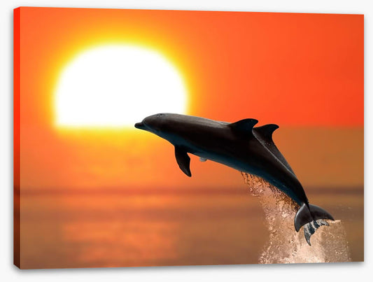 Synchronised at sunset