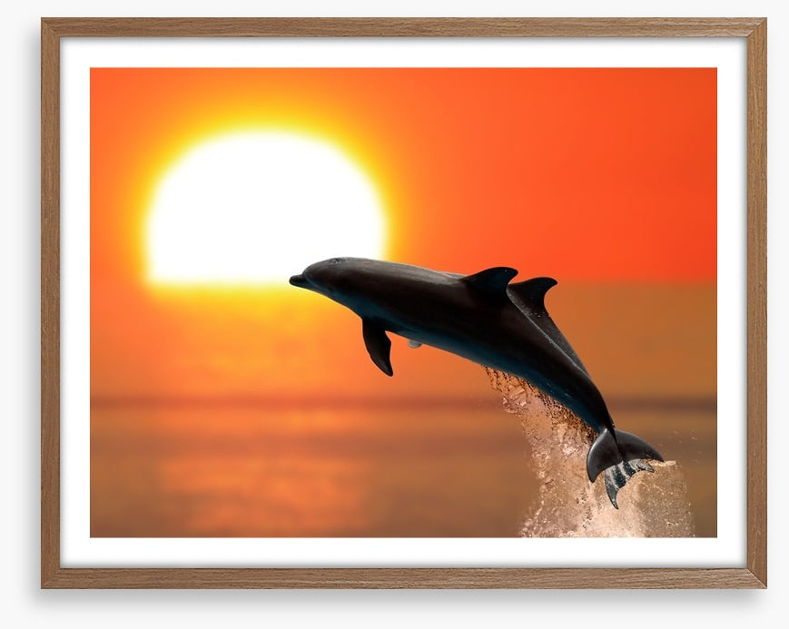 Synchronised at sunset