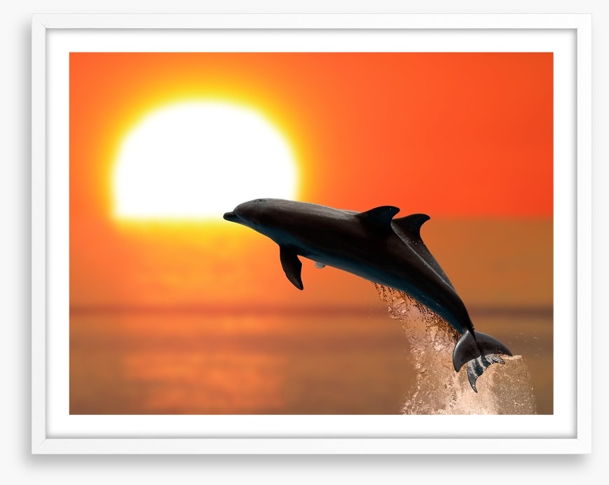 Synchronised at sunset