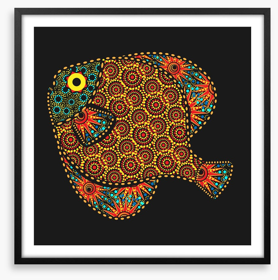 African fish