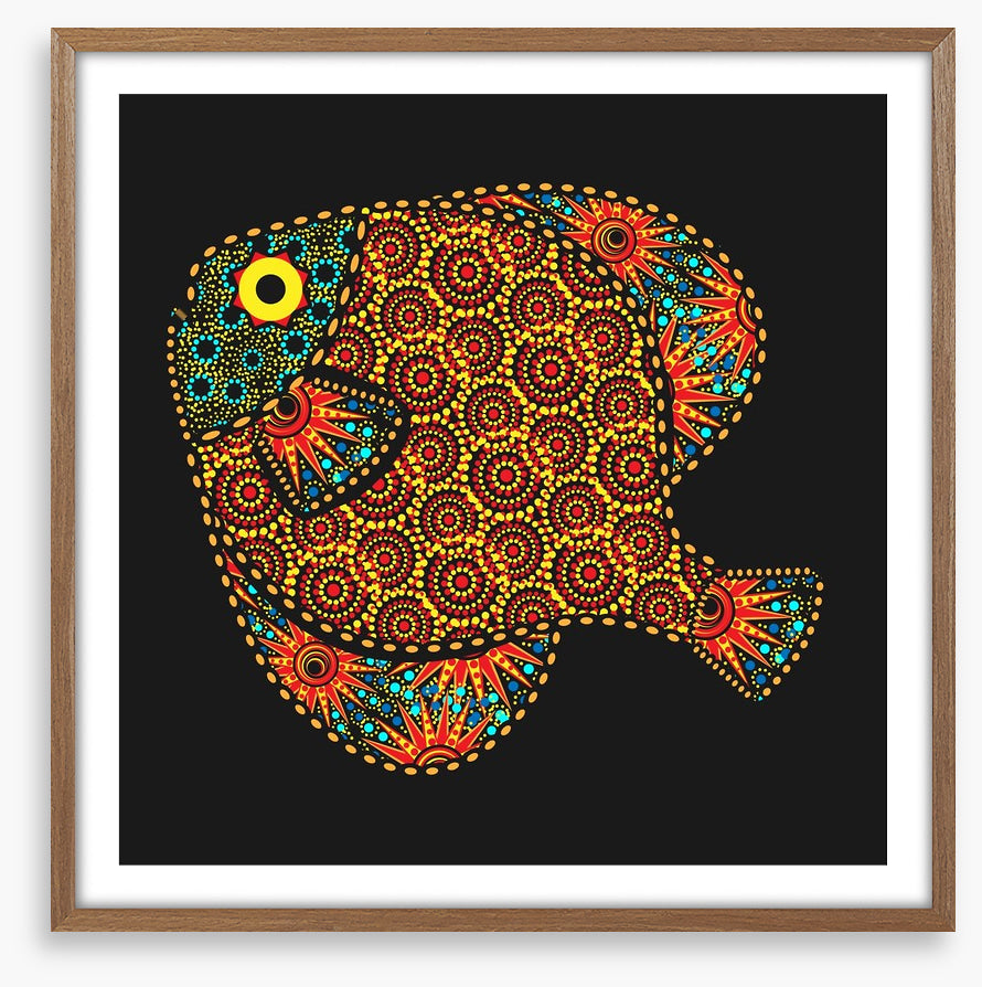 African fish