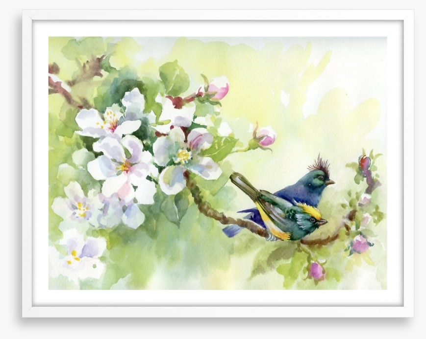 Birds of spring