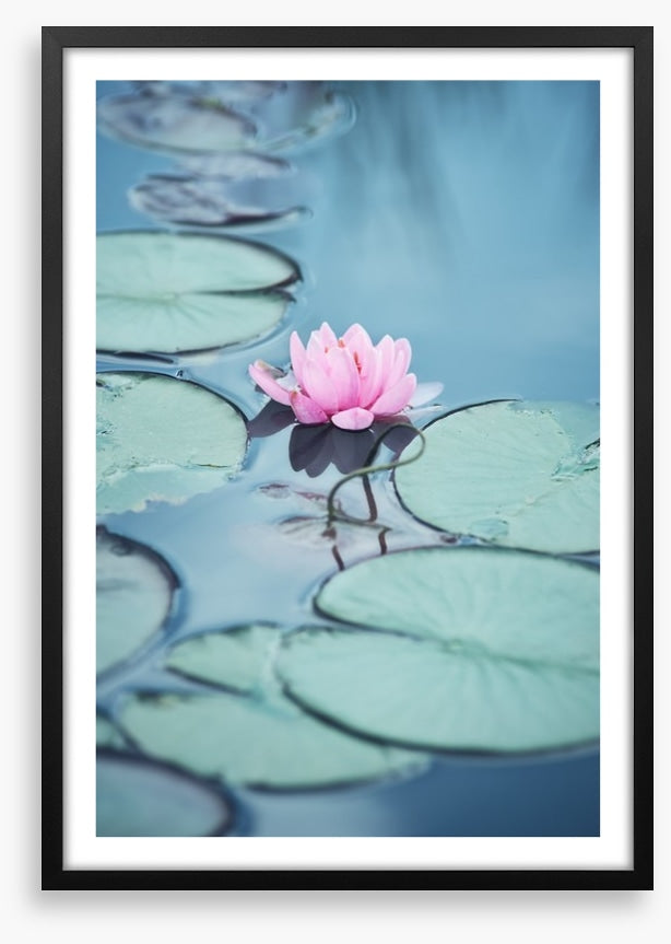 Lonesome lily