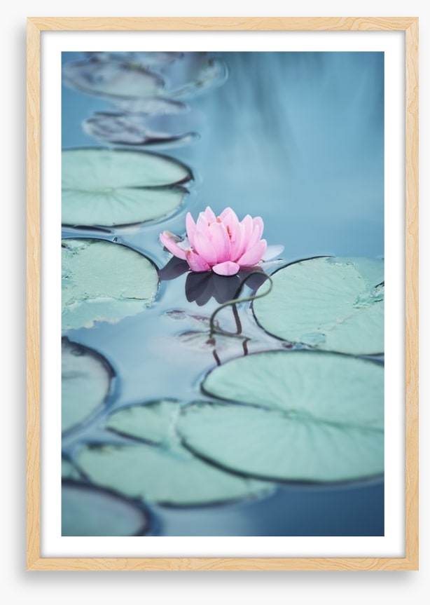 Lonesome lily