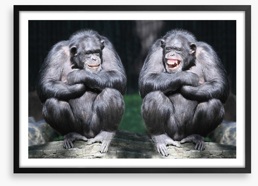 Monkeying around