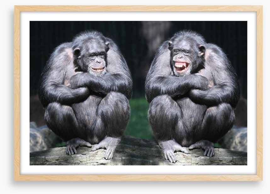 Monkeying around