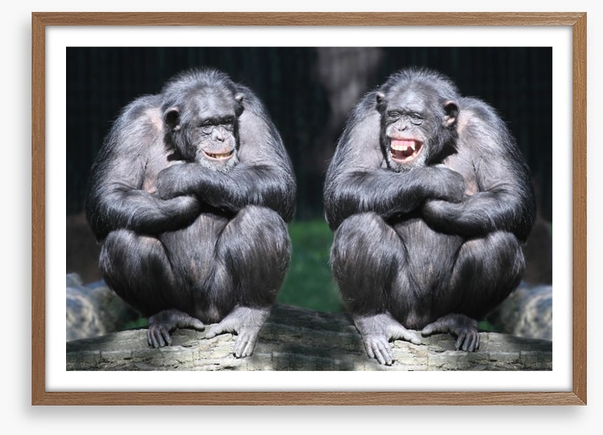 Monkeying around
