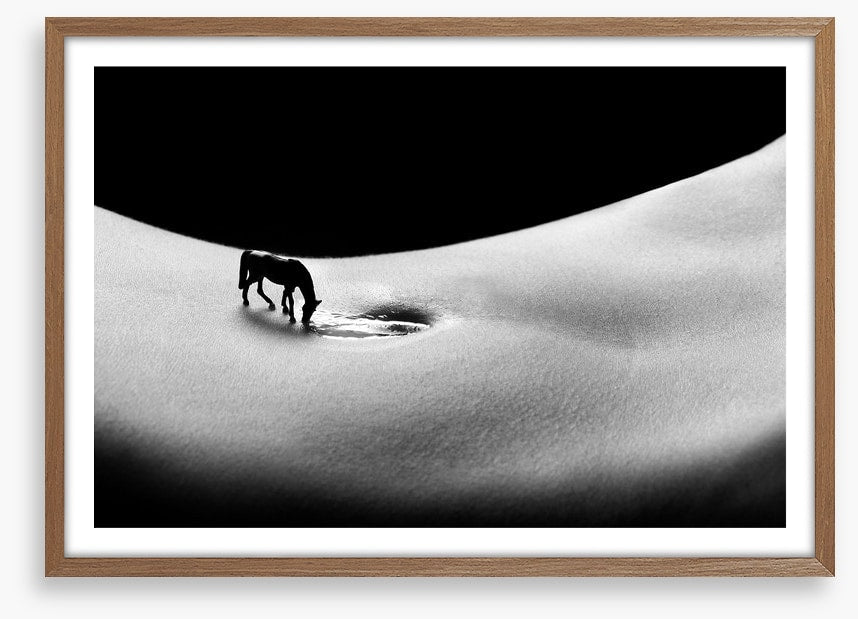 A horse to water