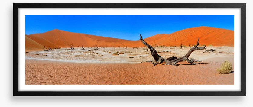 Desert