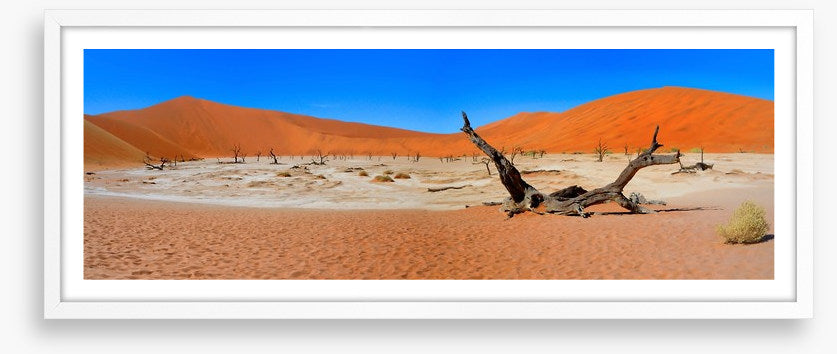 Desert