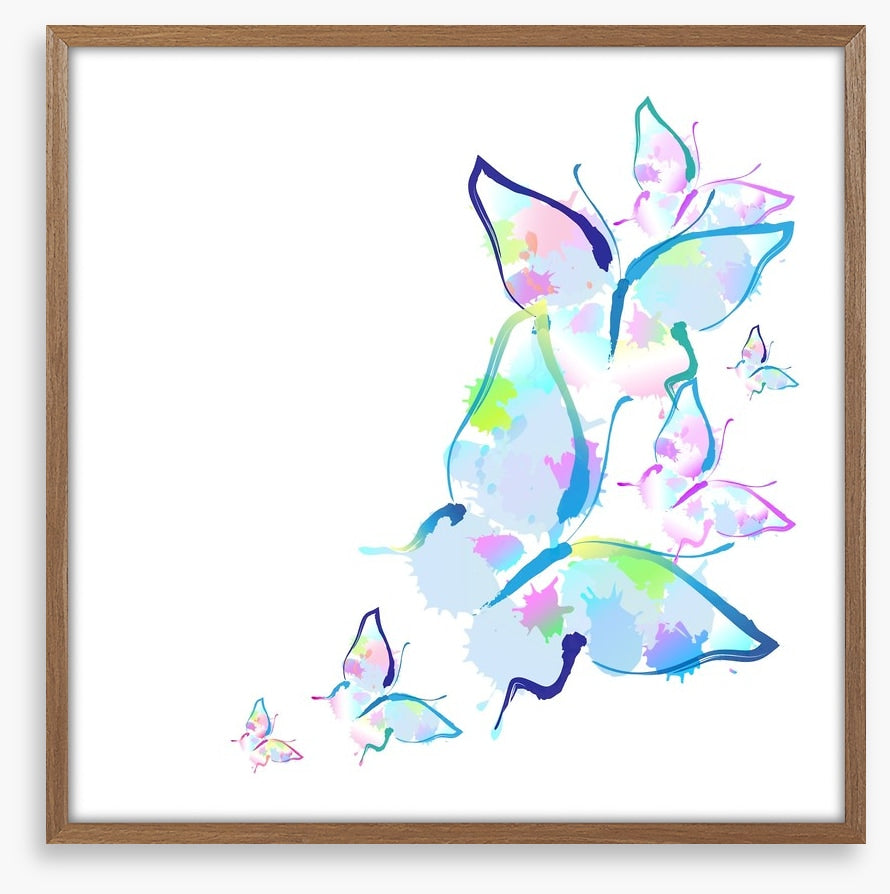 Butterfly splashes