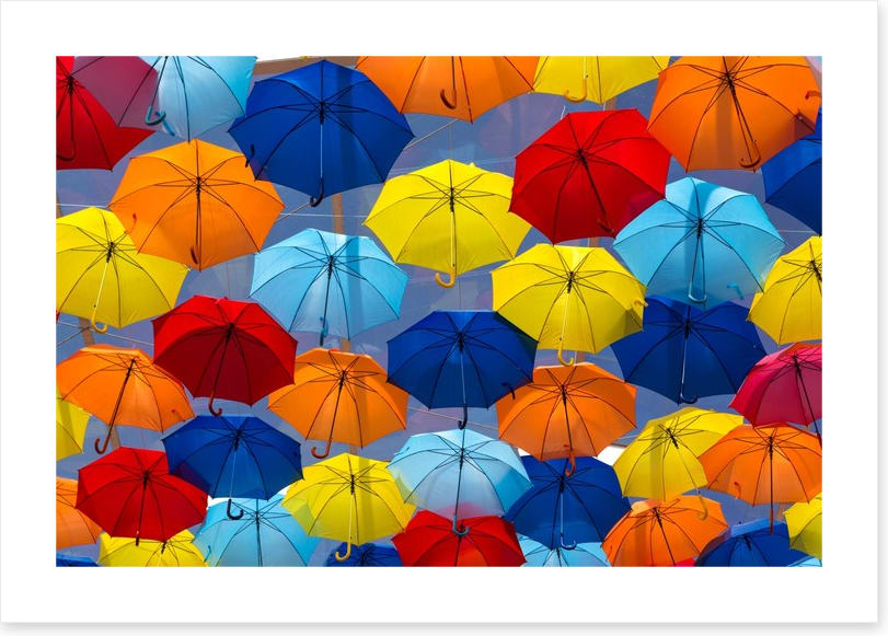 The festival of umbrellas