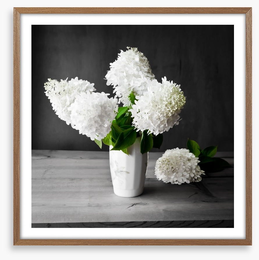 White hydrangea vase