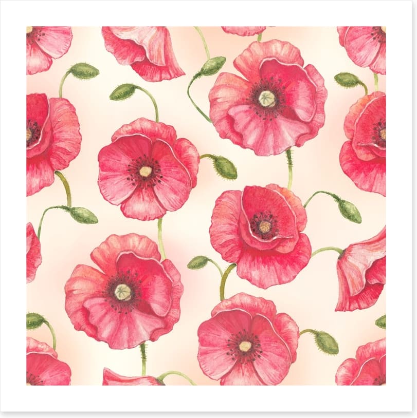 Poppy flowers